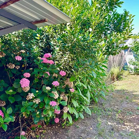 La Pepiniere - 7 Personnes - Gare - Centre Holiday home *